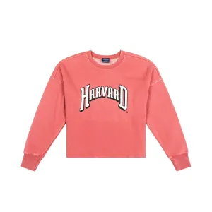 Harvard Distressed Crewneck